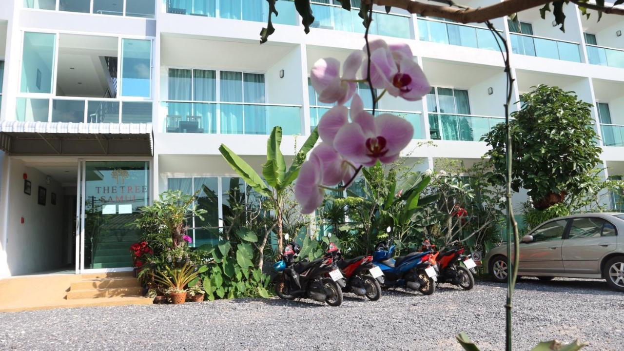 The Tree Samui Hôtel capsule Bophut